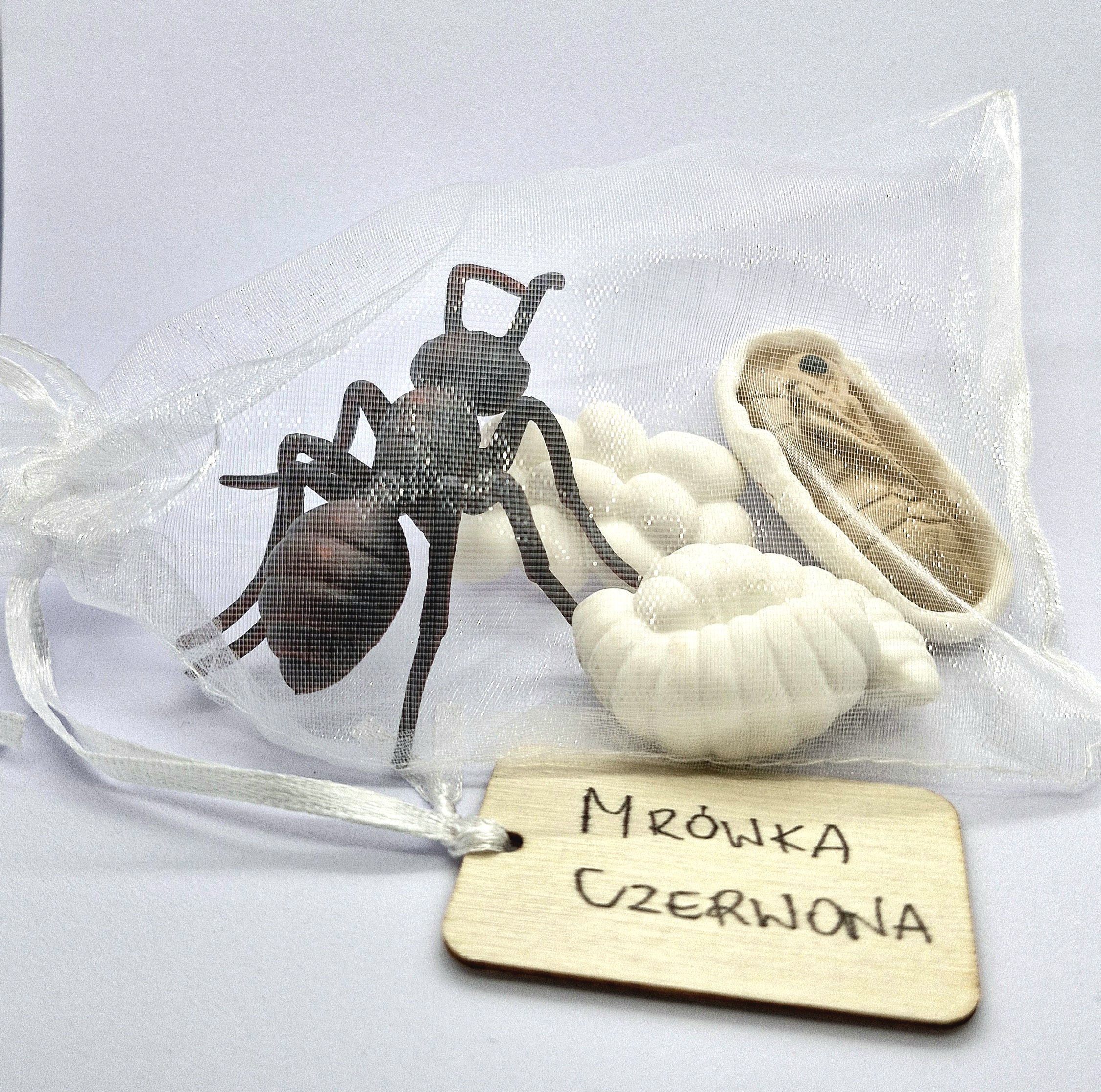 Cykl rozwojowy - mrówka - zestaw figurek (1) - obrazek 2