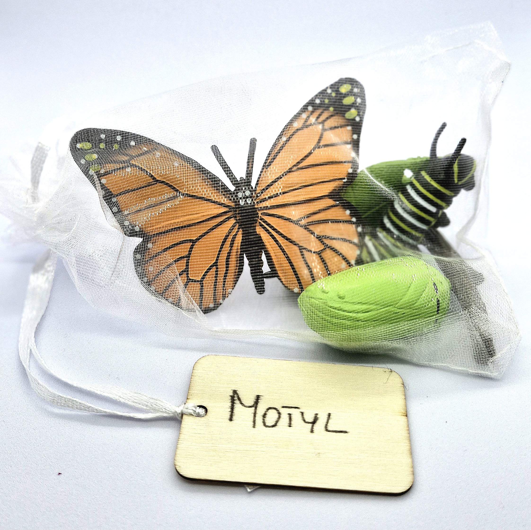 Cykl rozwojowy - motyl - zestaw figurek (2) - obrazek 2