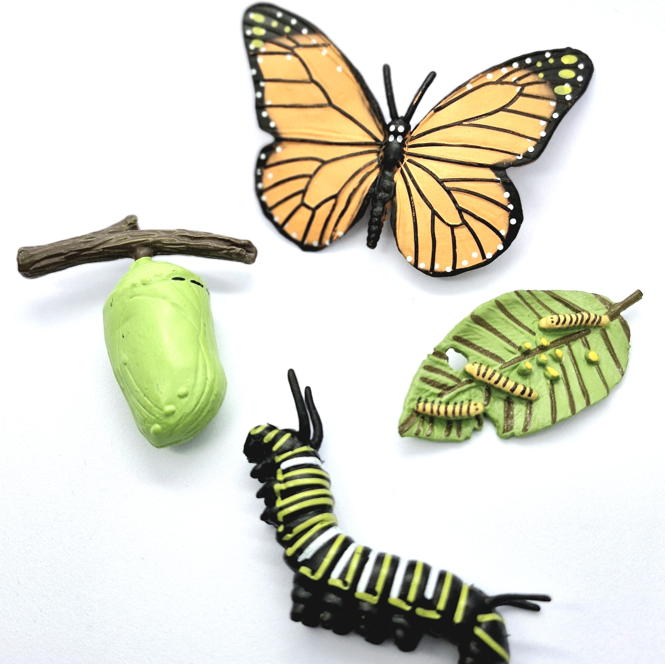 Cykl rozwojowy - motyl - zestaw figurek (2)