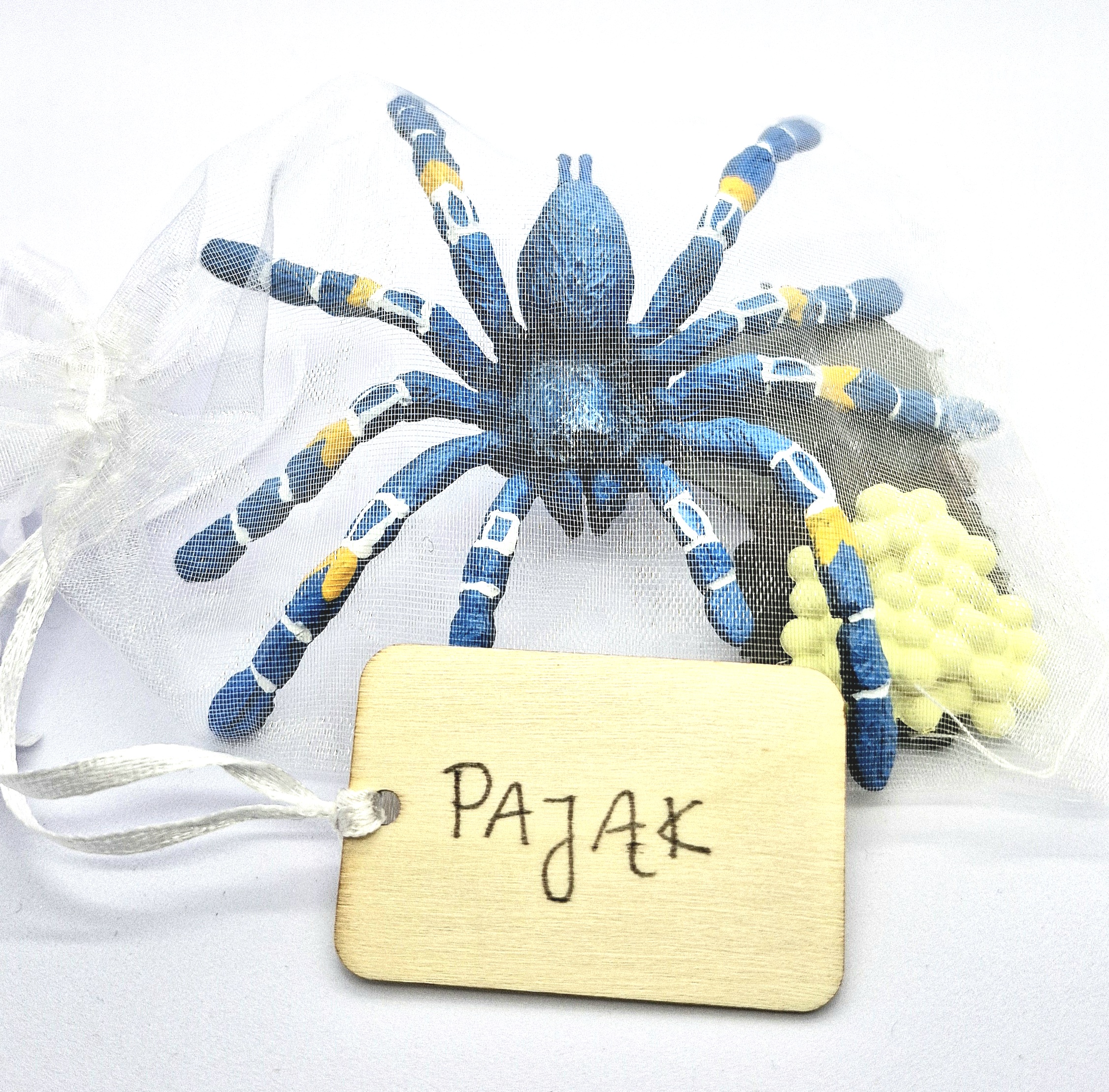 Cykl rozwojowy - pająk - zestaw figurek (5) - obrazek 2