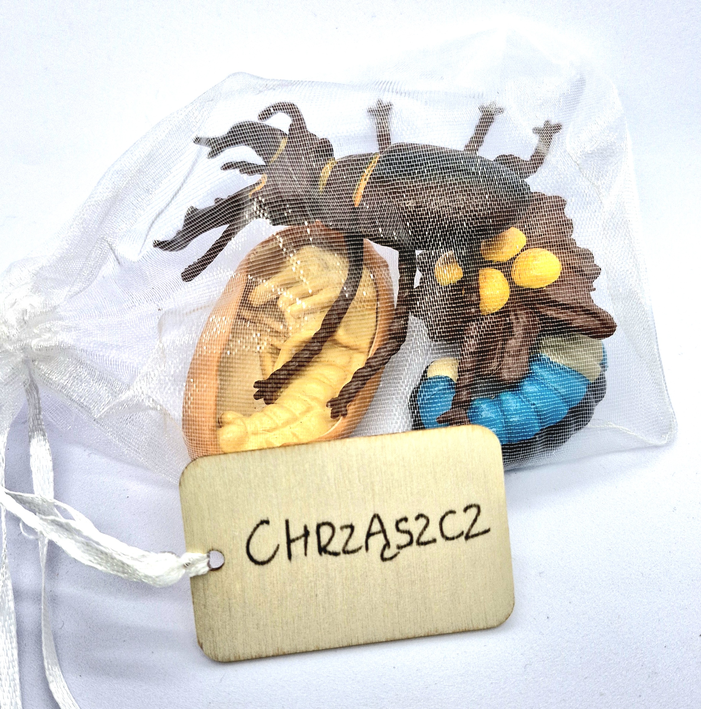 Cykl rozwojowy - chrząszcz - zestaw figurek (8) - obrazek 2