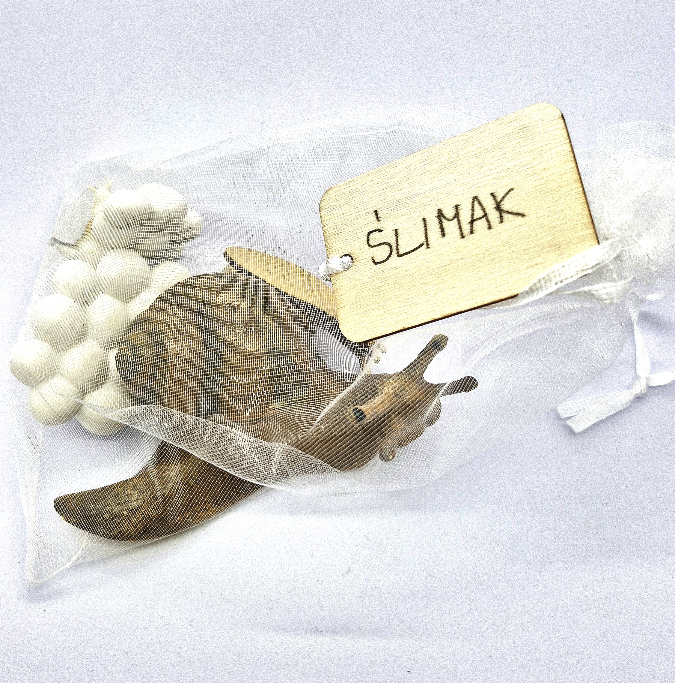 Cykl rozwojowy - ślimak - zestaw figurek (9) - obrazek 2