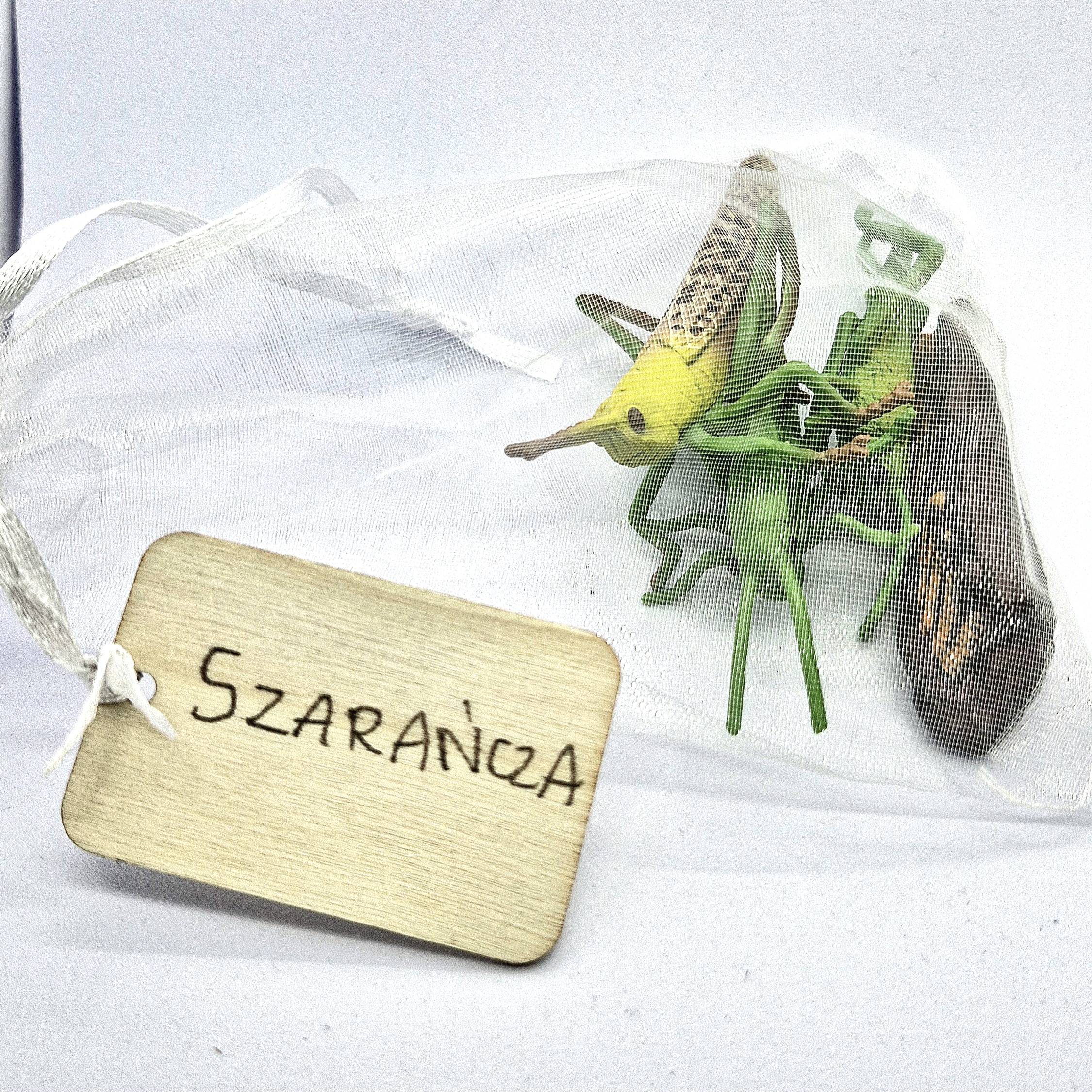 Cykl rozwojowy - szarańcza - zestaw figurek (11) - obrazek 2
