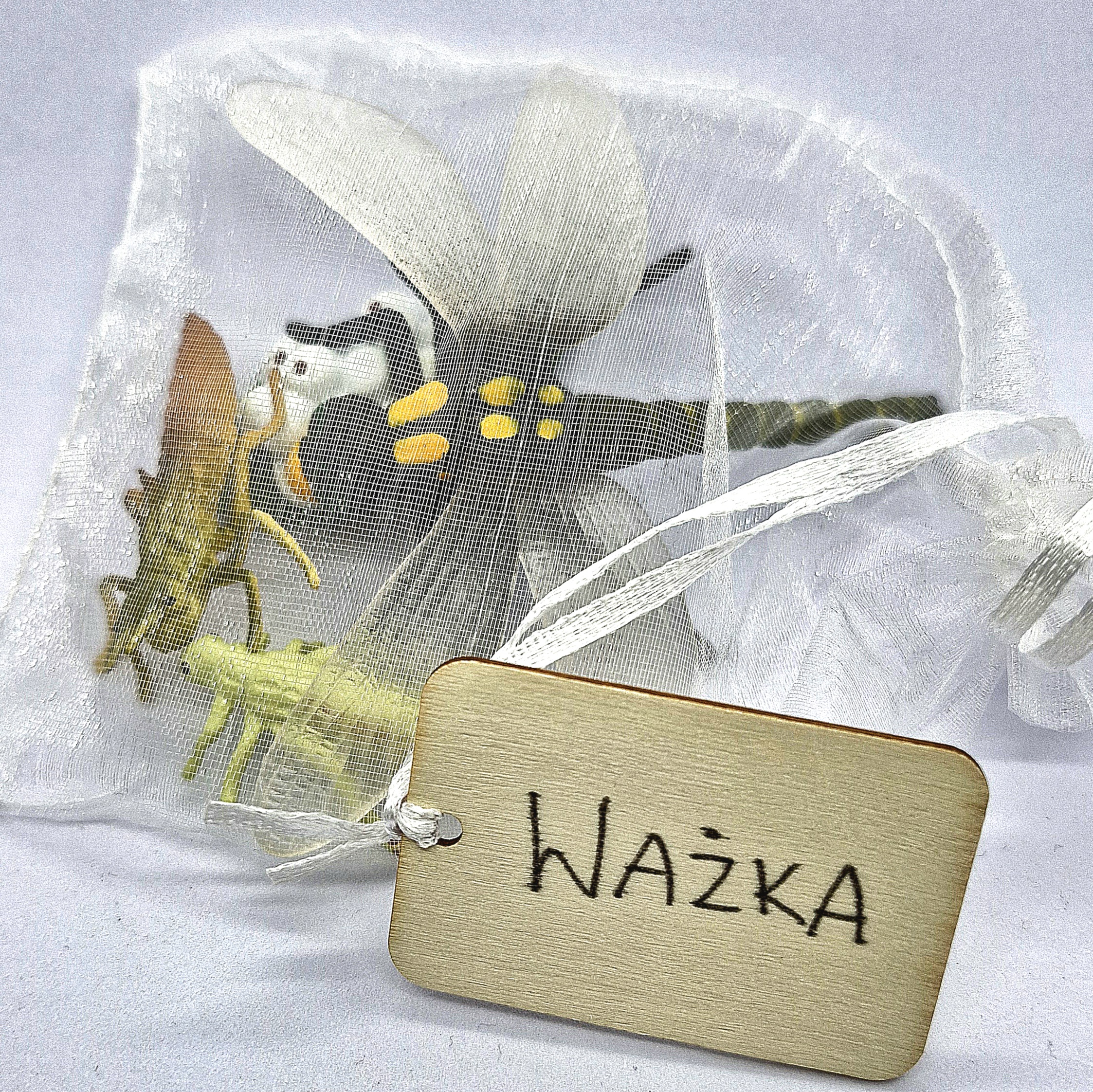 Cykl rozwojowy - ważka - zestaw figurek (13) - obrazek 2
