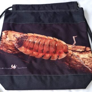 Workoplecak (8) isopod