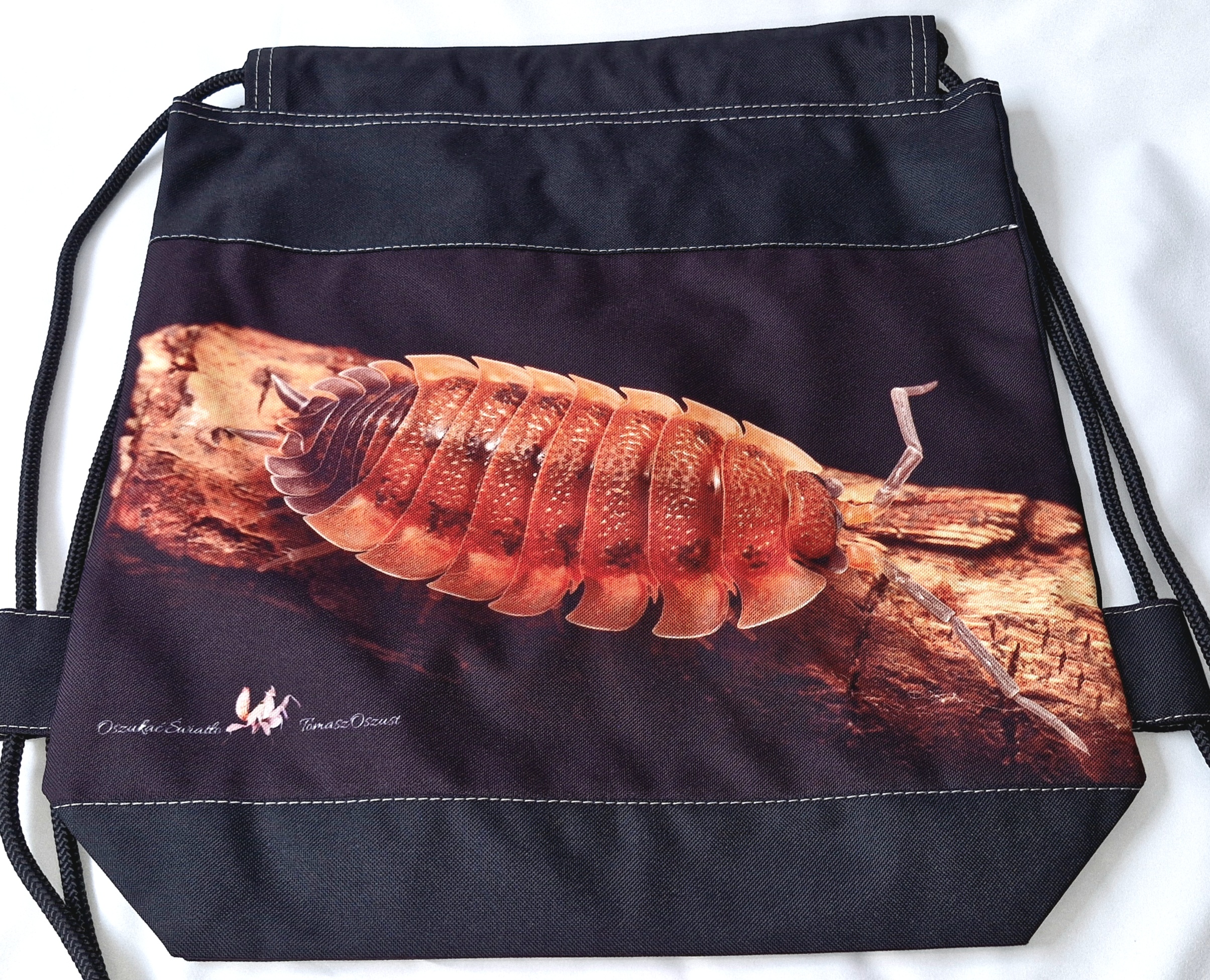Workoplecak (8) isopod