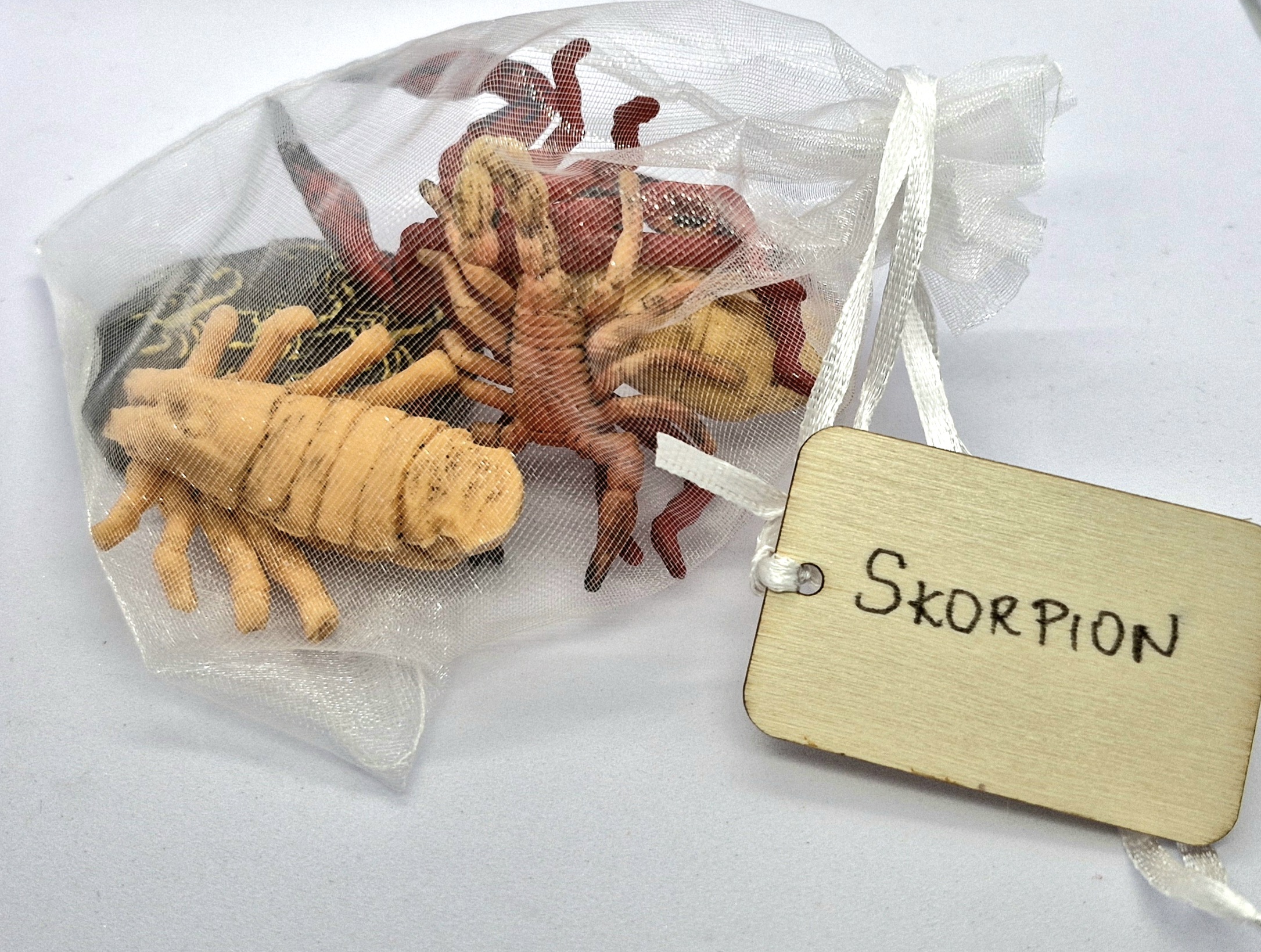 Cykl rozwojowy - skorpion - zestaw figurek (17) - obrazek 2